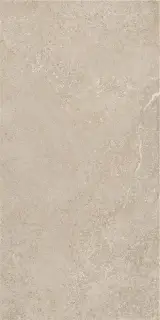 ARENITE NATURAL MT 60X120