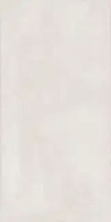 ELEMENT PLATINUM 60X120