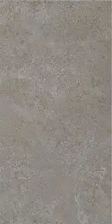 ARENITE DARK GREY MT 60X120