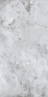 ALCHEMY ARGENT 60X120 RT