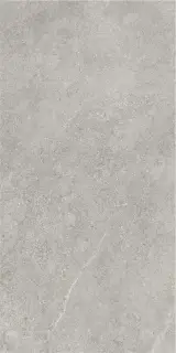ARENITE GREY MT 60X120