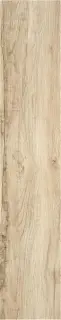 BLAZE HAYA MT 23X120