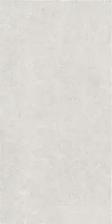 LEIRIA GREIGE MT 60X120 6MM