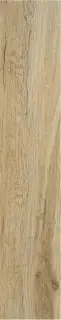 BLAZE ROBLE MT 23X120