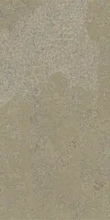 Fireclay Beige Stamp Natural 50x100