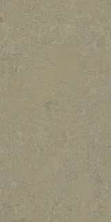 Fireclay Beige Natural 50x100