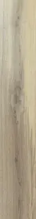Hi-Wood Of Cerim Walnut Lucido 20x120