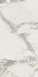 Michelangelo Cold 60x120