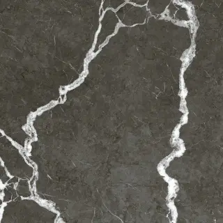 Michelangelo Dark 60x60