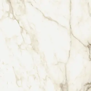 Michelangelo Warm 60x60