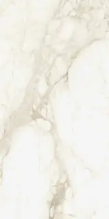 Michelangelo Warm 60x120
