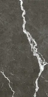 Michelangelo Dark 60x120