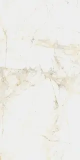 Canova White 60x120