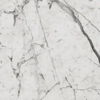 Charme Evo Statuario Lux 60x60