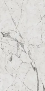 Charme Evo Statuario Nat 60x120