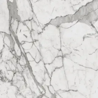 Charme Evo Statuario 60x60