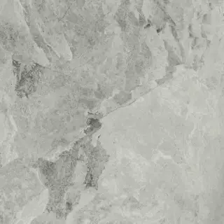 Charme Extra Silver 80x80