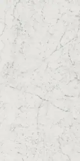 Charme Extra Carrara Nat 60x120