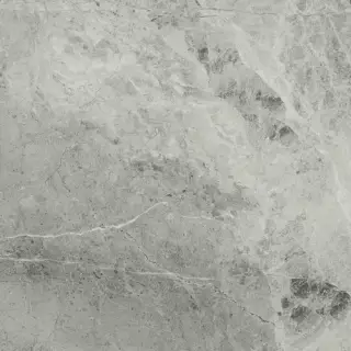 Charme Extra Silver Nat 60x60