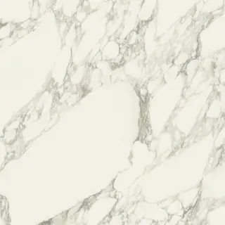 Charme Deluxe Arabescato White Nat 80x80