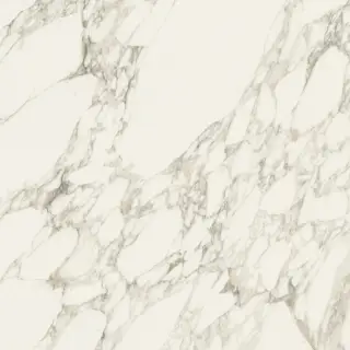 Charme Deluxe Arabescato White Lux 80x80