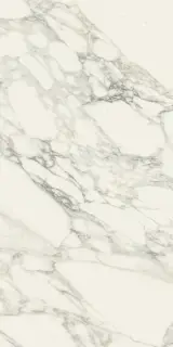 Charme Deluxe Arabescato White Cer 60x120