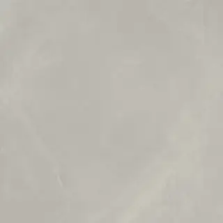 Continuum Silver 60x60
