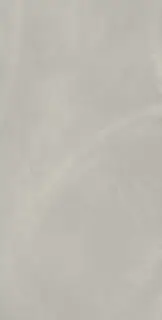 Continuum Silver 60x120