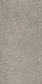 Discover Grey 60x120