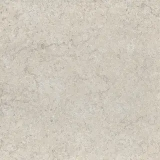 Discover White 60x60