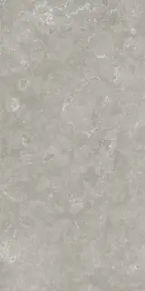 Voyager Grey 60x120