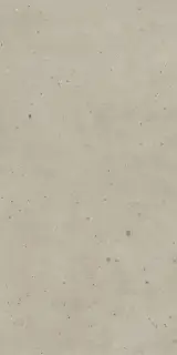 Avantgarde Dust 60x120