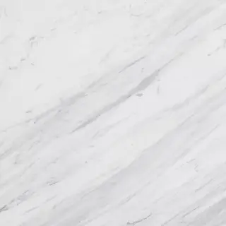 Venus White 80x80