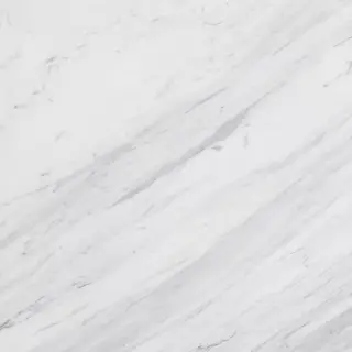 Venus White 60x60