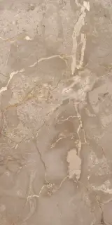 Desert Grey 30x60