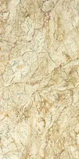 Desert Gold 30x60