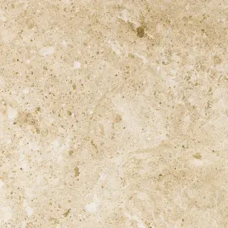 Cappuccino 80x80