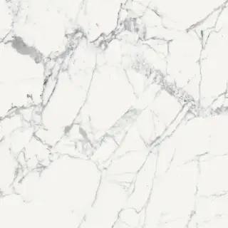 Origines De Rex Blanc Matte 6mm 120x120