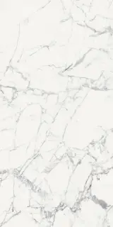 Origines De Rex Blanc Glossy 6mm 120x240