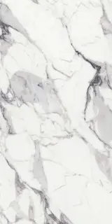 Origines De Rex Argent Glossy 6mm 120x240