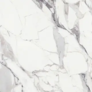 Origines De Rex Argent Matte 6mm 120x120