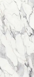 Origines De Rex Argent Matte 6mm 120x280