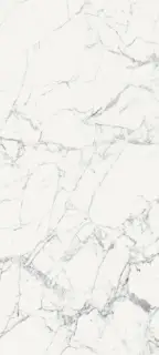Origines De Rex Blanc Glossy 6mm 120x280