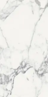 Origines De Rex Blanc Glossy 6mm 60x120