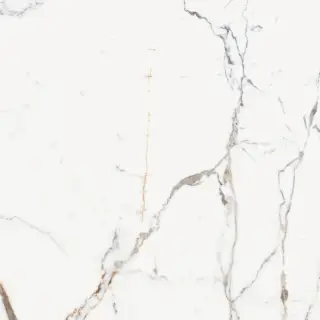 Origines De Rex Or Glossy 6mm 120x120