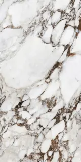 Bijoux Breche Capraia Glossy 6mm 120x240