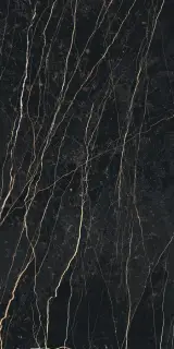 Prexious Rex Thunder Night Glossy 60x120