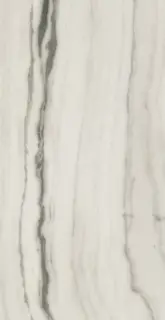Prexious Rex White Fantasy Glossy 60x120