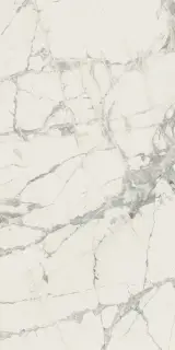 Prexious Rex Mountain Treasure Glo 30x60