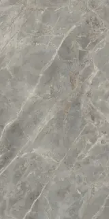 Etoile Gris Glossy 60x120